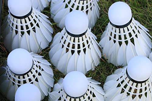 12 Pack Feather Badminton Shuttlecocks – Durable Birdies for Indoor & Outdoor Training