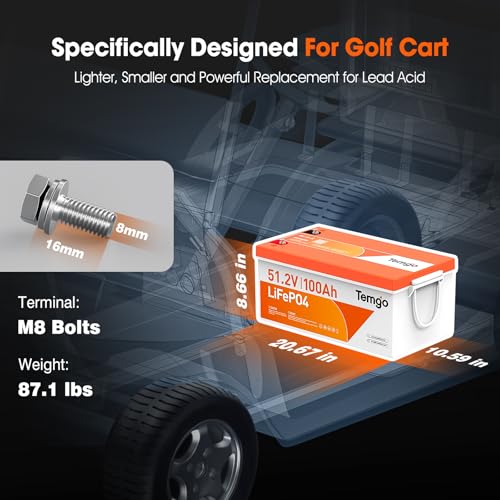 TEMGO 48V 100Ah LiFePO4 Golf Cart Battery with Voltage Converter - Model 48V100AH