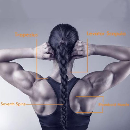 Neck Harness for Weight Training, Neck Trainer with Adjustable Heavy Duty Steel Chain and Strap, Increases Neck Core Strength and Supports Injury Recovery, Neck Exerciser for Home and Gym