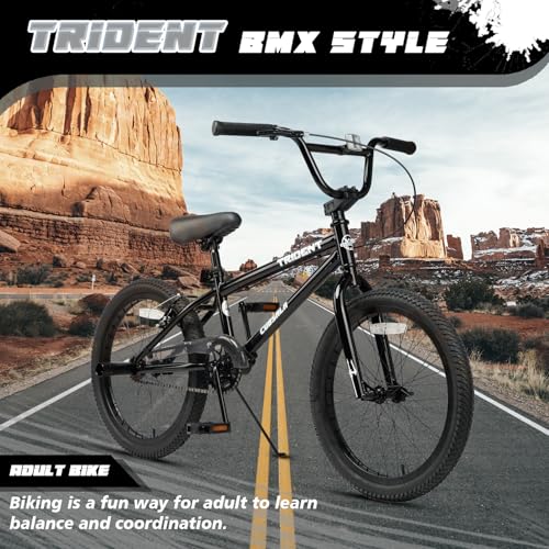 Cubsala Black 20-Inch BMX Race Bike for Beginners & Pros with 2 Pegs