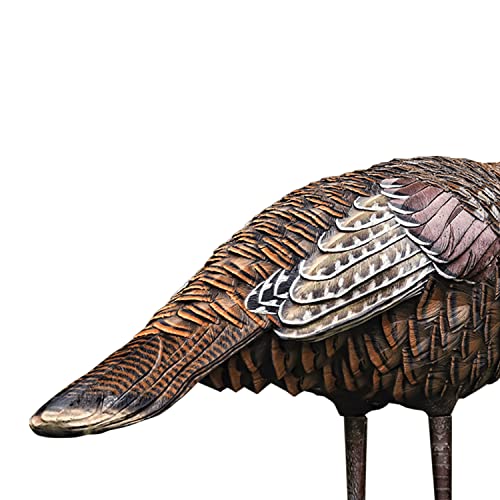Avian-X LCD Lookout Hen Turkey Decoy - Solid Variation, Realistic Hunting Decoy