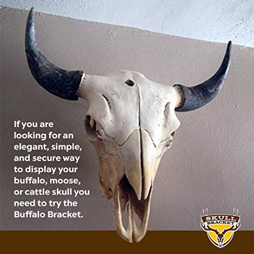 Heavy-Duty Buffalo Bracket - Elk Moose Cattle Skull Mounting Support - USA Made, Oil-Rubbed Bronze Finish (Variation of THIS listing)