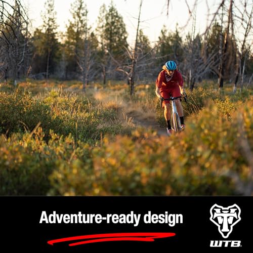 WTB Ranger 29x3.0 Tubeless Mountain Bike Tire - Light, Fast, Puncture Protection