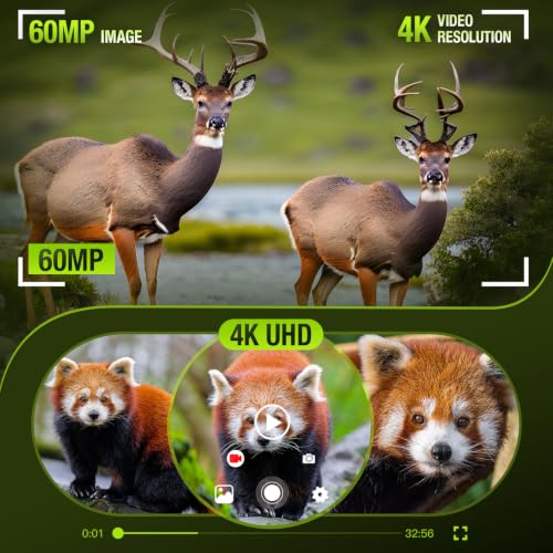 WIMIDING 4K Dual-Lens WiFi Trail Camera with Night Vision & Solar Power