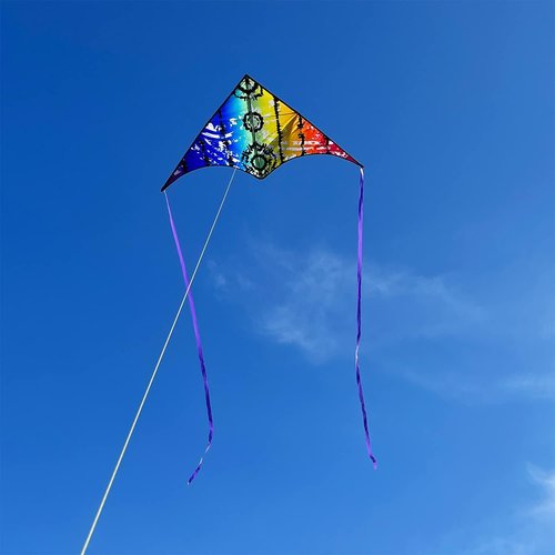 HONBO Large Delta Kite - Easy to Fly for Kids & Adults | Colorful Tail & String Line Included