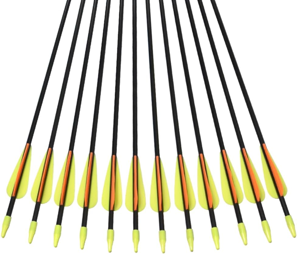 Skiennix Fiberglass Arrows - Target Shooting Safety Glass for Youth & Beginners | 24-30 Inch, 6/12 Pack