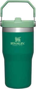 Stanley IceFlow 20 oz Flip Straw Tumbler - Insulated Stainless Steel, Leak Resistant, BPA-Free | Alpine