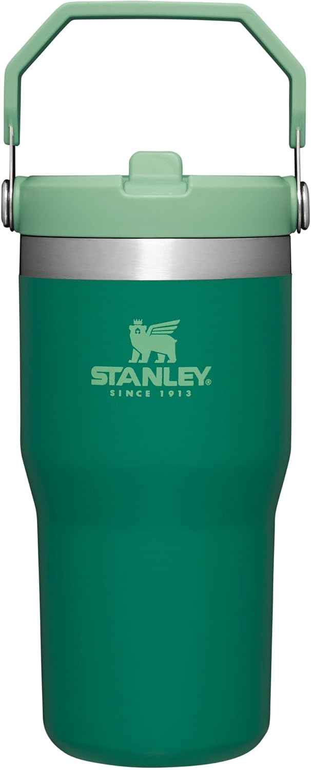 Stanley IceFlow 20 oz Flip Straw Tumbler - Insulated Stainless Steel, Leak Resistant, BPA-Free | Alpine