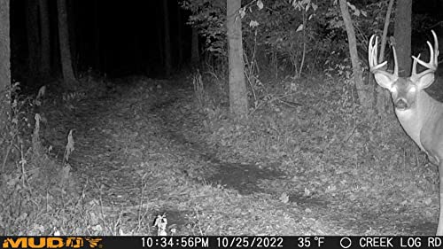 Muddy Mitigator Cellular 24MP Trail Camera with One Size Variation