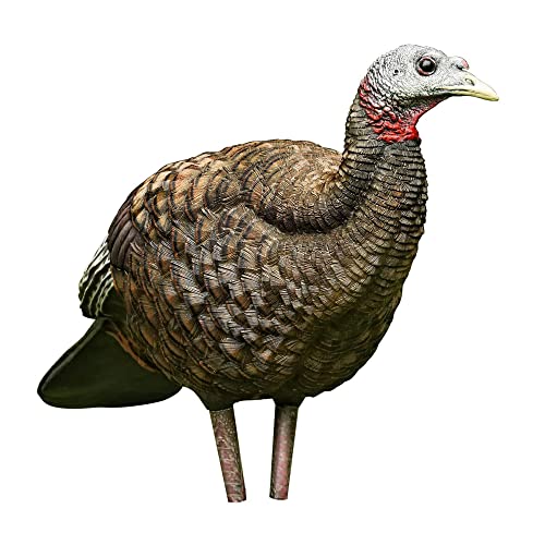 Avian-X LCD Breeder Hen Turkey Decoy - Solid Variation for Hunting