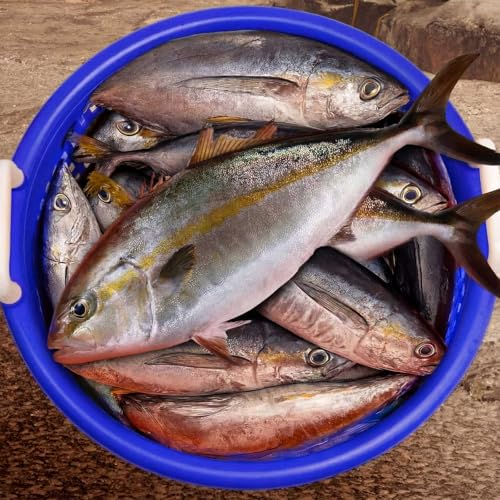 Heavy Duty Fish Basket 100 lb Capacity - Blue Camping & Outdoor Storage