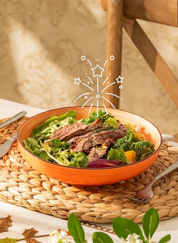 Sweese 6-Pack Ceramic Pasta Bowls - Multicolor, 30oz Large Salad Plates