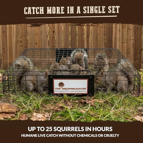 Humane Multi-Catch Squirrel Trap - 1 Pack for Wildlife Control