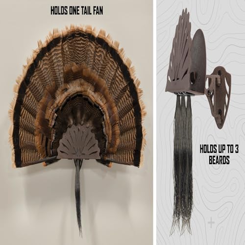 Allen Company EZ Mount Stackable Turkey Fan & Beard Display - Metal Trophy Mount - Wall Display for Turkey Slam & Hunting Trophy Rooms - Brown