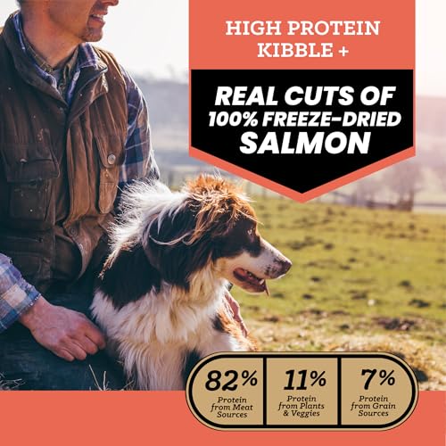 Victor Raw Salmon Dog Food Blend - Freeze-Dried & Kibble, 20 lb - Salmon / 20 Pound Pack of 1