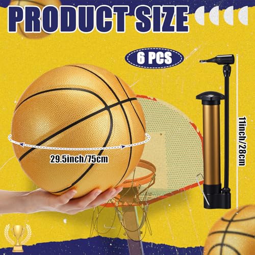 Gold Official Size 7 Autograph Basketball Set - 6 Balls with Pump & Signatures