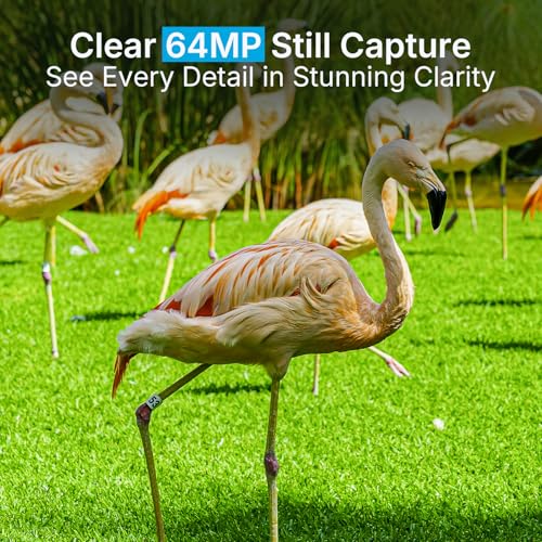 Meidase 2 Pack Trail Camera P70, 64MP HD Night Vision, Waterproof, Motion Activated