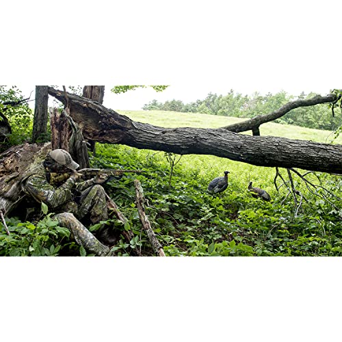 Avian-X LCD Lookout Hen Turkey Decoy - Solid Variation, Realistic Hunting Decoy
