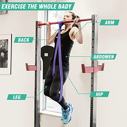 Alllvocles Resistance Band Set - Blue, Pull Up Assistance Bands for Workout & Physical Therapy