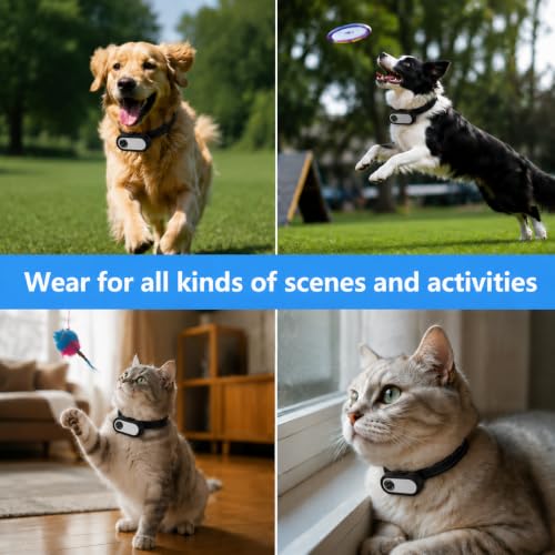 Mini HD 1080P Pet Collar Camera with Video Recording, Wide-Angle Lens, 170° Field of View