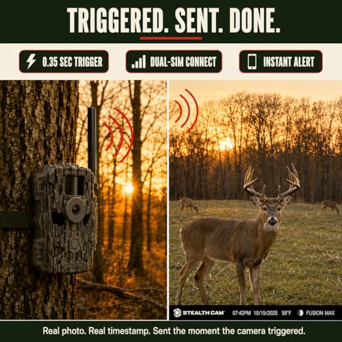 Cellular Trail Camera Dual SIM 36MP HD Video with 2 SD Cards - Wireless Monitoring