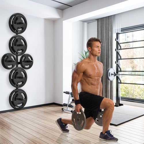 Kipika Wall Mount Weight Plate Rack with 4-Peg & 2-Weight Wing, 1200lb Capacity