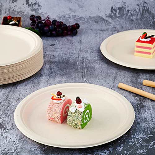 Vplus 500 Pack Compostable 10.25 Inch Sugarcane Fiber Plates - Nature | Bulk Eco-Friendly Dinnerware