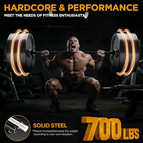 Home Gym 47-Inch Barbell Bar with Spring Collars, 700lb Capacity, E-Coat Finish - Bearings Variation