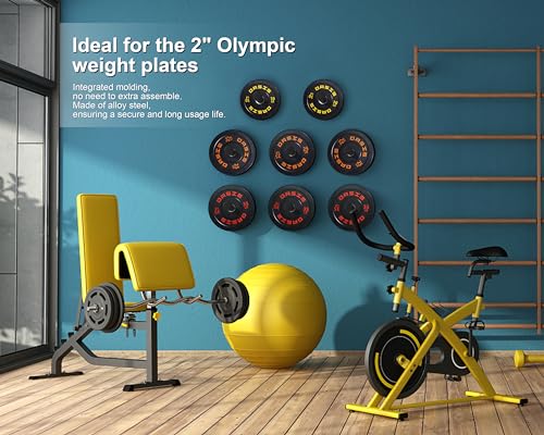 2-Pack Wall Mounted Weight Plate Holder - Fitness Storage Rack for 2-Inch Olympic Plates