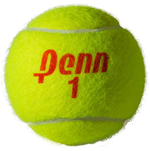 Penn Championship Tennis Balls - Regular Duty, 24 Cans (72 Balls) - Official USTA & ITF Approved