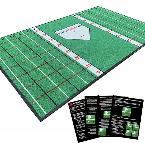 Baseball & Softball Hitting Mat with Visual Feedback Grid and Training System