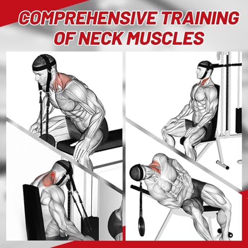 Black Neck Harness for Strength Training with 30-Inch Steel Chain - Heavy Duty Support
