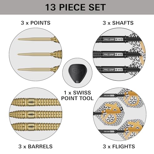 Target Darts Bolide Envy 90% Tungsten Steel Tip Dart Set 26G Barrel 03 with Swiss Points & Evo Shafts