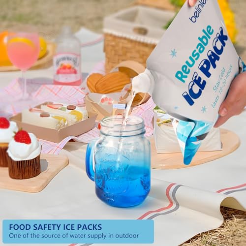 10x10 Inch Reusable Ice Packs for Cooler & Lunch Box - 6 Pack, Leak-Proof Freezer Packs