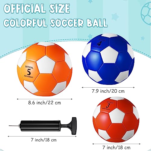 Libima 12 Pcs Colorful Size 4 Soccer Balls with Pump - Official Match Size