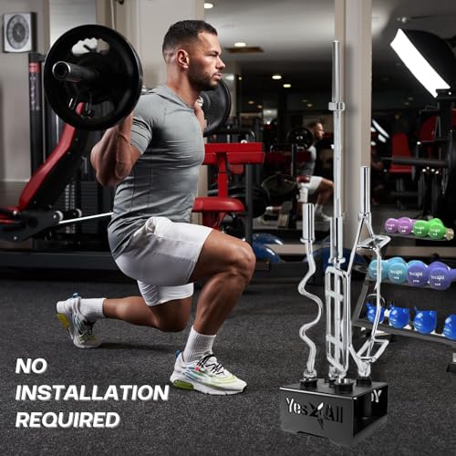 Black Vertical Barbell & Dumbbell Storage Rack for Home Gym - 2-Inch Olympic & Curl Bars