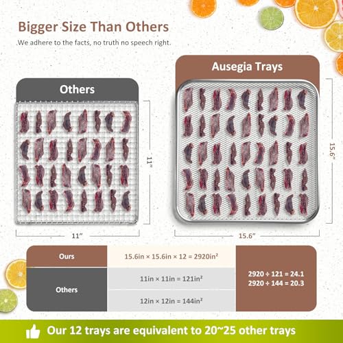 Ausegia 12-Trays Commercial Food Dehydrator - Large Capacity Stainless Steel Dryer for Meat, Fruit, Veggies, Herbs, Pet Food