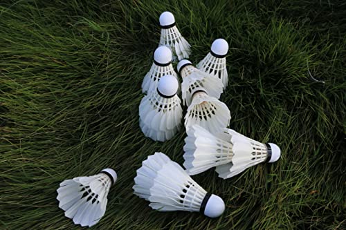 12 Pack Feather Badminton Shuttlecocks – Durable Birdies for Indoor & Outdoor Training