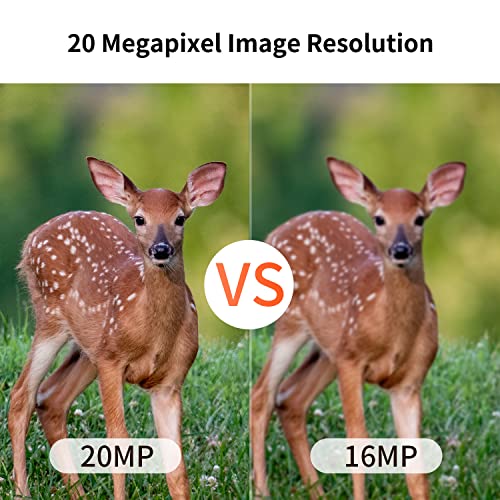 20MP Mini Trail Camera with Night Vision 80ft Range Waterproof Hunting Camera