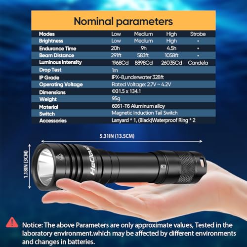 Dive Light 3000LM Waterproof LED Flashlight with 4 Modes - Black