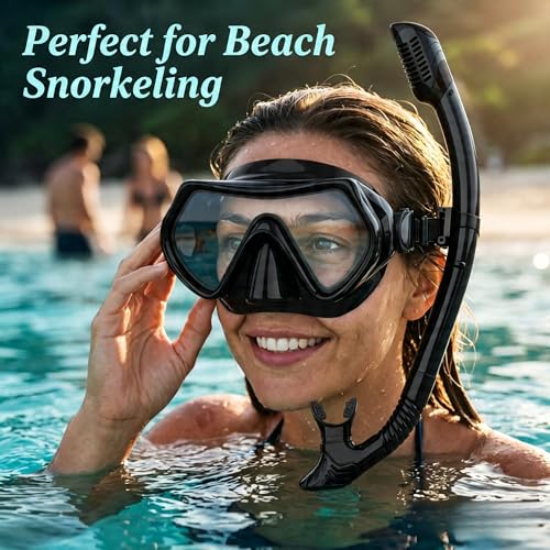 Adult Snorkeling Gear Set with Anti-Fog Goggles and Dry Snorkel - Black