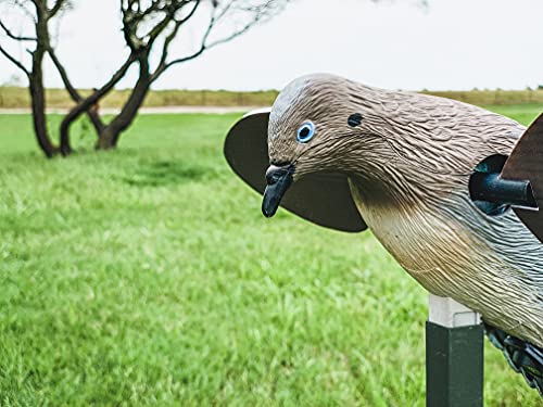 Voodoo Dove Spinning Wing Decoy Set - Realistic Motorized Dove Decoys for Hunting
