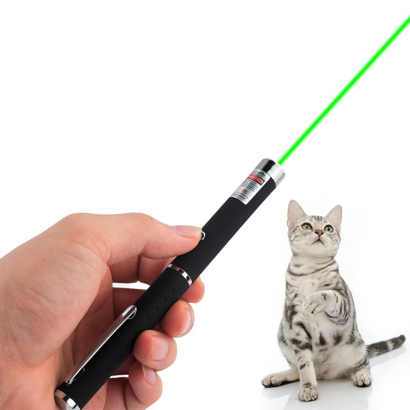 CHUQIANTONG Cats Toys USB Rechargeable Pet Interactive Toys with Green Remotes for Indoor Classroom Interactive Teaching (Green, USB 1 Pack)