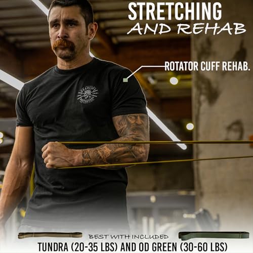 Iron Infidel 5-Pack Resistance Bands Set for Pull-Ups & Strength Training