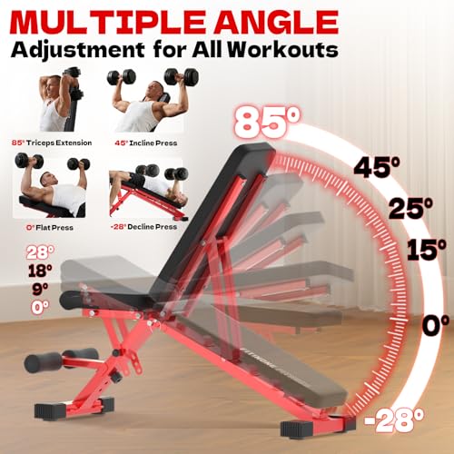 FitinOne Adjustable Weight Bench Black-Red, Foldable 800LBS Home Gym Equipment