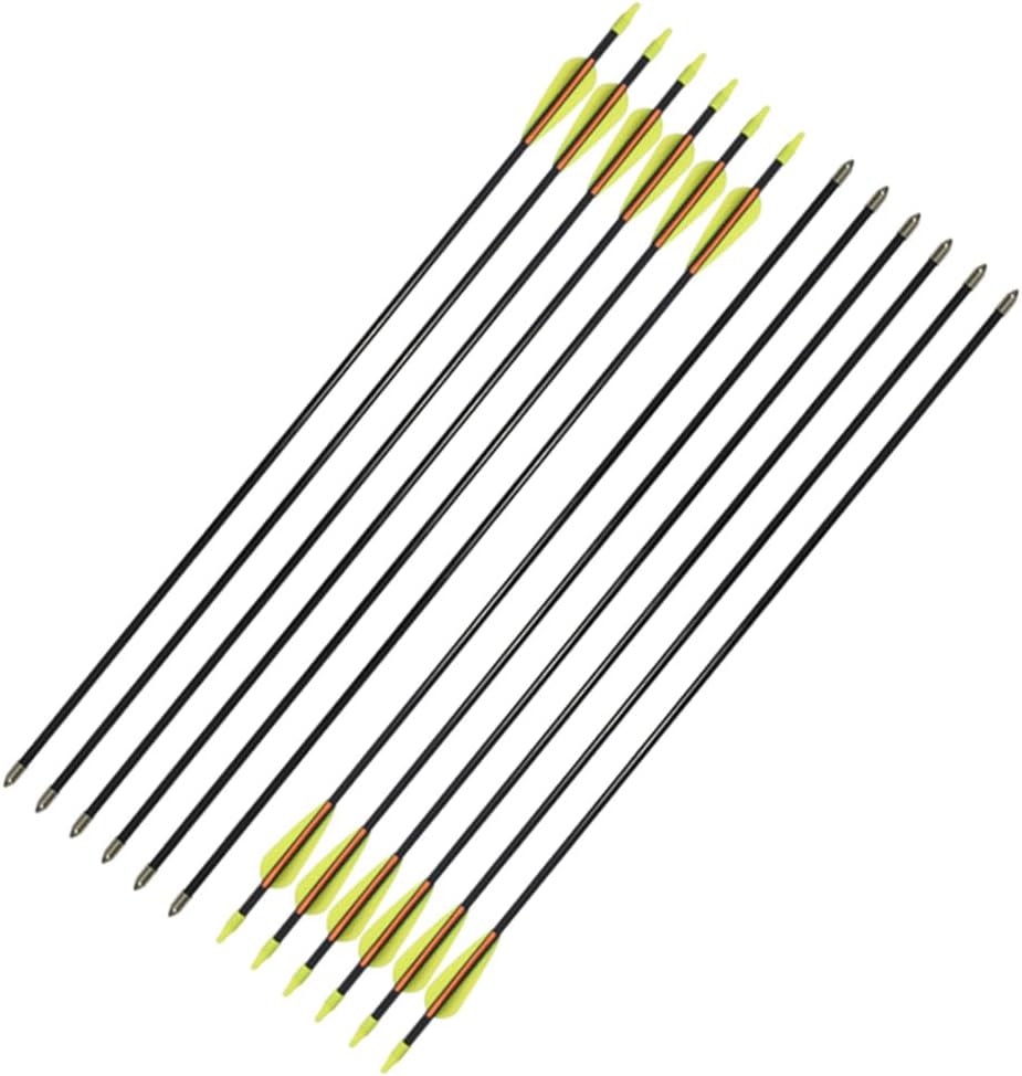 Skiennix Fiberglass Arrows - Target Shooting Safety Glass for Youth & Beginners | 24-30 Inch, 6/12 Pack