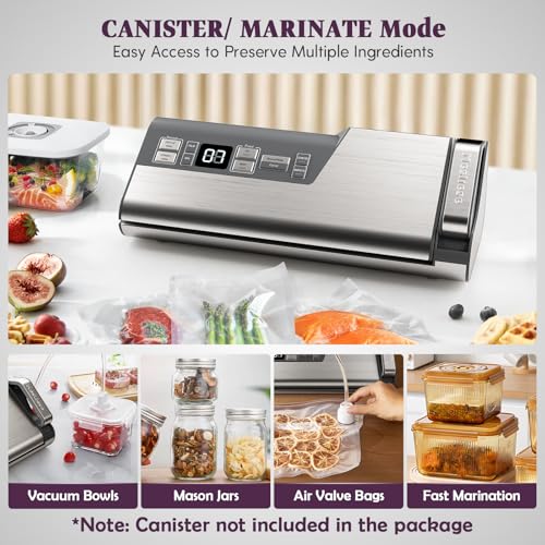 Mesliese Vacuum Sealer with 95kPa Suction, 140W, 20L/min, Silver Gray