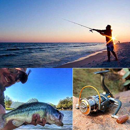 Sougayilang DK1000 Spinning Fishing Reel with Left/Right Interchangeable Collapsible Wood Handle, 11BB, 5.2:1 Gear, For Inshore, Freshwater & Saltwater