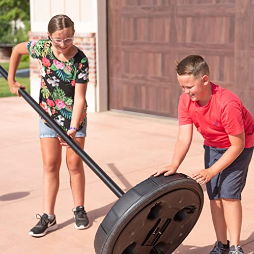 Lifetime 90029 Portable Tetherball System - Outdoor Playground Equipment