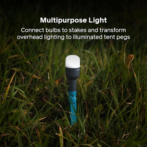 BioLite Rechargeable Solar Site Lights with Hangable Bulbs & Stakes